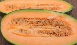 丑女吃哈密瓜视频,美味与自信并存