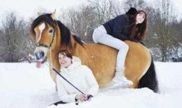 美女骑马吃瓜视频大全,美女骑马吃瓜视频大盘点