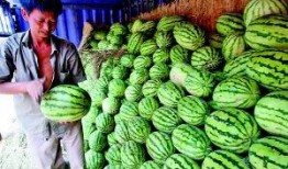 陕西吃瓜视频大全集