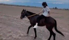 美女骑马吃瓜视频大全,美女骑马吃瓜视频大盘点