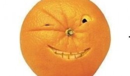 吃网纹瓜搞笑视频下载安装,笑料横生的夏日消暑神器