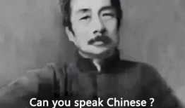 鲁迅吃瓜了视频在线观看,揭秘网络热点的另类解读