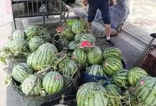 户县吃瓜事件视频最新,一场网络热议背后的真相揭秘