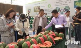 百里挑一吃瓜完整视频,揭秘热门视频背后的精彩瞬间