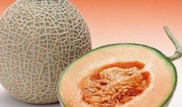 哈密瓜老爸推荐吃吗视频,揭秘美味哈密瓜的吃法与营养