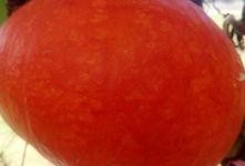 全程吃瓜现场直播视频,揭秘吃瓜现场幕后真相