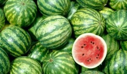 中国女人吃蜜瓜视频,中国女性甜蜜生活瞬间