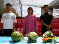 夏季吃瓜视频图片高清,高清吃瓜瞬间，解锁夏日休闲新姿势