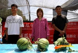 夏季吃瓜视频图片高清,高清吃瓜瞬间，解锁夏日休闲新姿势