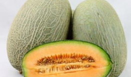 野外放羊吃哈密瓜视频教程,视频教程教你一招