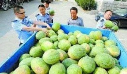 郑州财经工商吃瓜视频