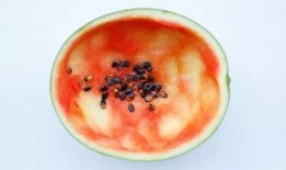 吃瓜用最大的勺视频,揭秘最大勺子的吃瓜新体验