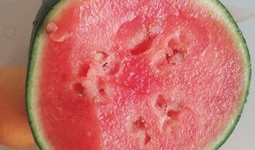 巴东吃瓜视频,揭秘网络热传事件背后的真相