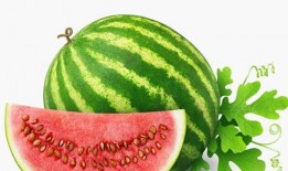 有深意的吃瓜视频素材,一场视觉盛宴背后的深思