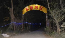 龙洞吃瓜事件视频大全