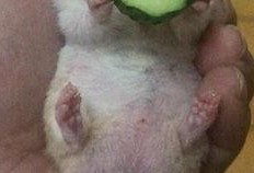 吃瓜老王的视频,一场视频盛宴背后的故事
