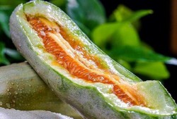 吃瓜先生的视频类型,热门视频类型深度解析