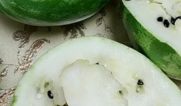 东北搞笑瓜瓜吃瓜视频,吃瓜群众欢乐多，笑料横生视频集锦