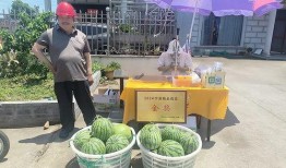 宁波奉化吃瓜事件视频,一场引发热议的街头冲突纪实