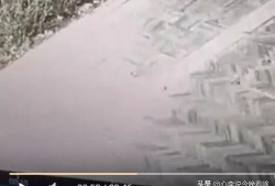 大型吃瓜完整视频,一场视觉盛宴的幕后故事