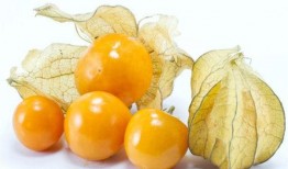 中国女人吃蜜瓜视频,中国女性甜蜜生活瞬间