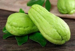 拉藤瓜好吃吗怎么吃视频,视频教你轻松享美食