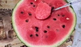 梅陇瓜挖着吃怎么做的视频,轻松学会家常美味