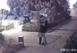 平遥吃瓜事件视频完整版,揭秘视频完整版背后的真相与争议