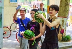 吃瓜视频艺术学院,揭秘艺术圈的趣味与魅力