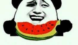 搞笑的吃瓜群众必看视频,笑料百出！吃瓜群众必看搞笑视频盘点