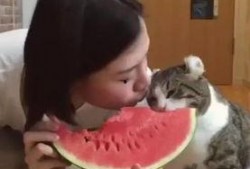 西瓜视频女子吃瓜,趣味横生瞬间走红网络