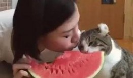 西瓜视频女子吃瓜,趣味横生瞬间走红网络