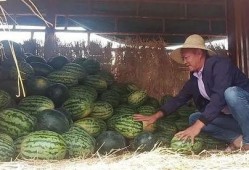吃瓜群众哭了视频,吃瓜群众哭诉心酸瞬间