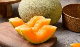 蜗牛吃西瓜哈密瓜视频