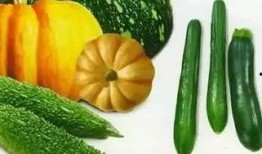 40万吃瓜视频完整版,一场全民围观的热议盛宴