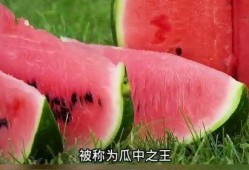 科普视频来啦看完这个再吃瓜,科普视频带你拨开吃瓜迷雾