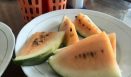 巴东吃瓜视频,揭秘网络热传事件背后的真相