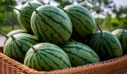 快手上传播吃瓜视频,快手吃瓜视频背后的现象解析