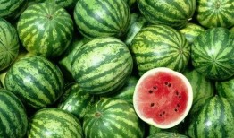 西瓜视频经典吃瓜,揭秘经典吃瓜瞬间，笑料百出！