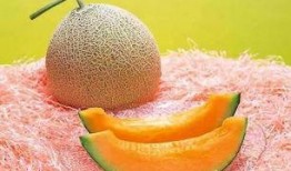 吃网纹瓜搞笑视频下载安装,笑料横生的夏日消暑神器