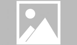 土拨鼠和狗吃瓜视频,趣味横生吃瓜视频走红网络