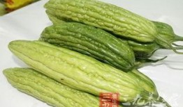 吃凉瓜搞笑视频,夏日清凉一夏，笑料横生！