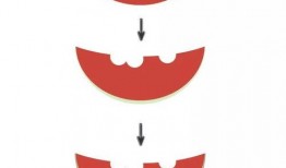怎么画吃瓜视频教程下载,从入门到精通