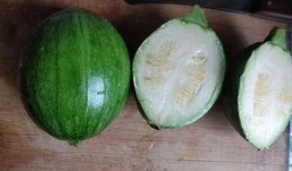 梅陇瓜挖着吃怎么做的视频,轻松学会家常美味