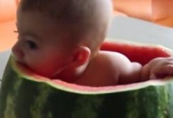 小孩的吃瓜视频,小萌娃吃瓜视频萌翻网友