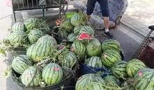 济阳吃瓜事件视频最新,一场网络狂欢背后的真相与反思