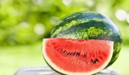 西瓜吃瓜的视频,趣味视频带你领略夏日清凉