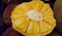 吃菠萝蜜瓜视频在线观看,菠萝蜜瓜视频在线观看，尽享夏日清新口感